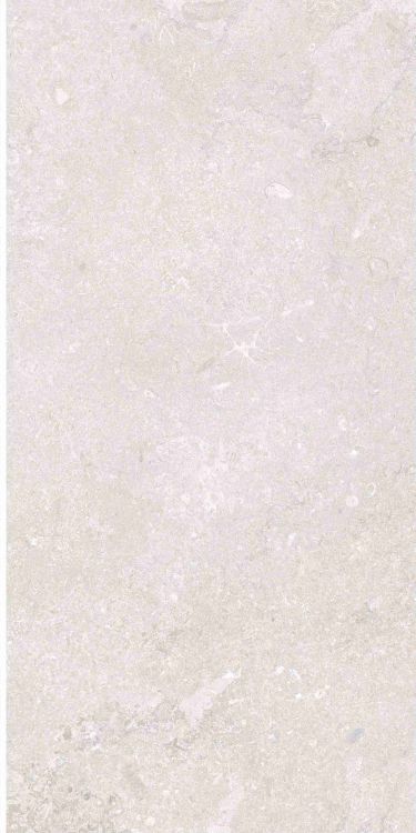 OL Port Land Stone Bianco Matte 12 x 24